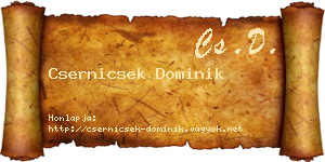 Csernicsek Dominik névjegykártya